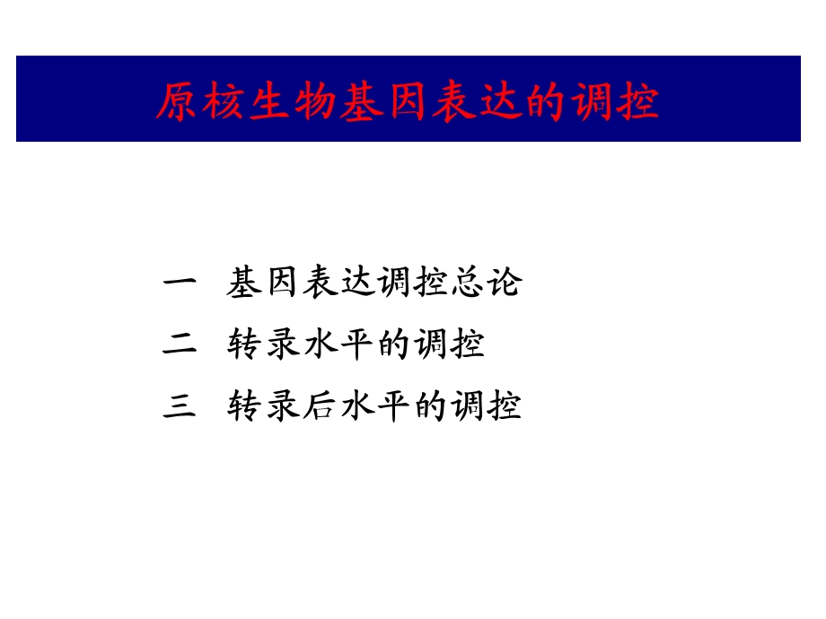 《原核基因表达调控》PPT课件.ppt_第1页