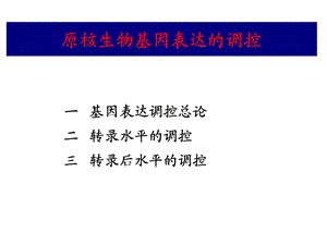 《原核基因表达调控》PPT课件.ppt