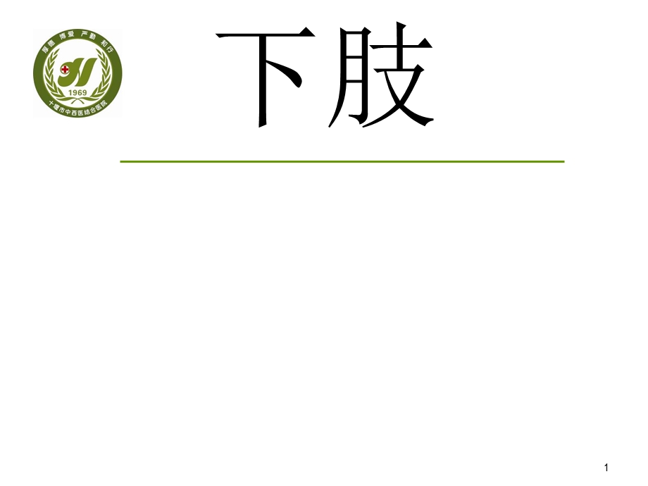 《下肢应用解剖》PPT课件.ppt_第1页