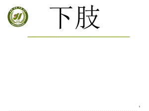 《下肢应用解剖》PPT课件.ppt