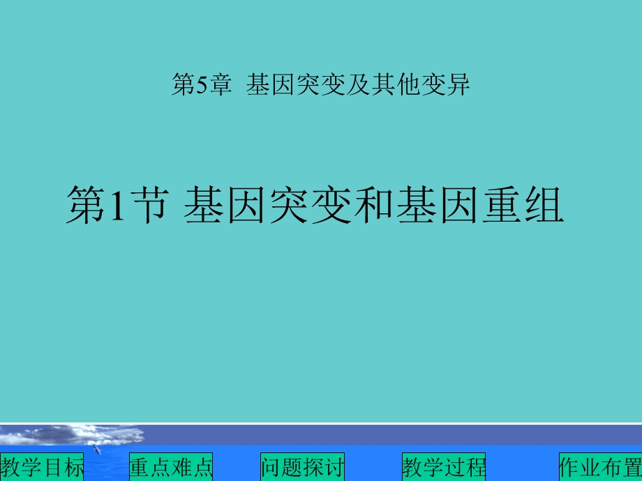 《基因突变及》PPT课件.ppt_第2页