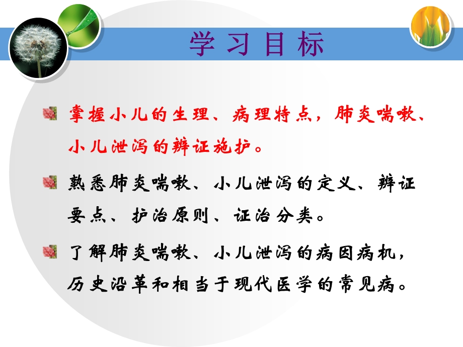 《儿科常见病证》PPT课件.ppt_第2页