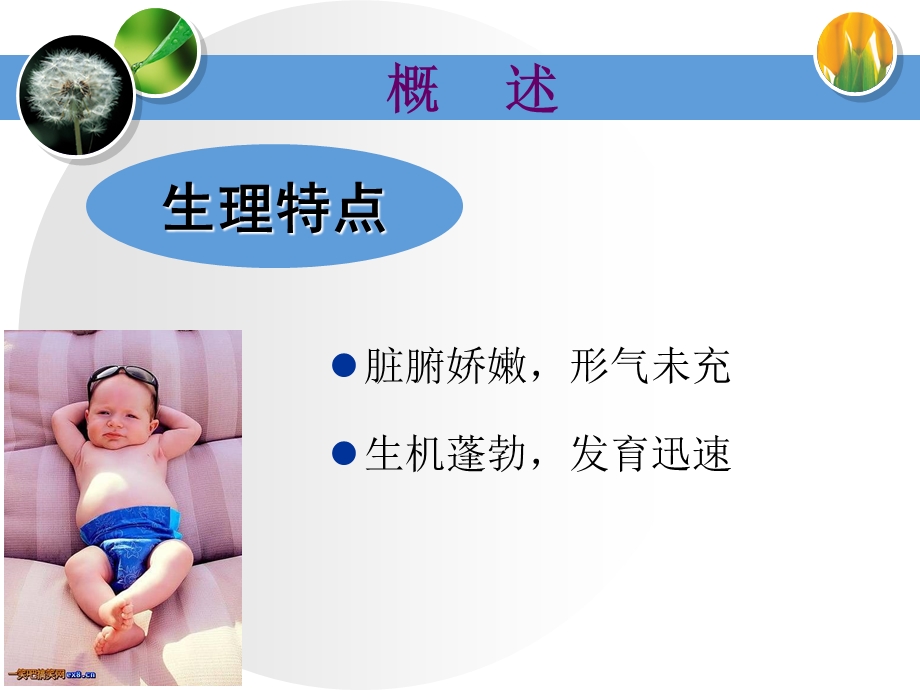 《儿科常见病证》PPT课件.ppt_第3页