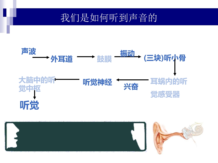 《先天性耳聋》PPT课件.ppt_第3页