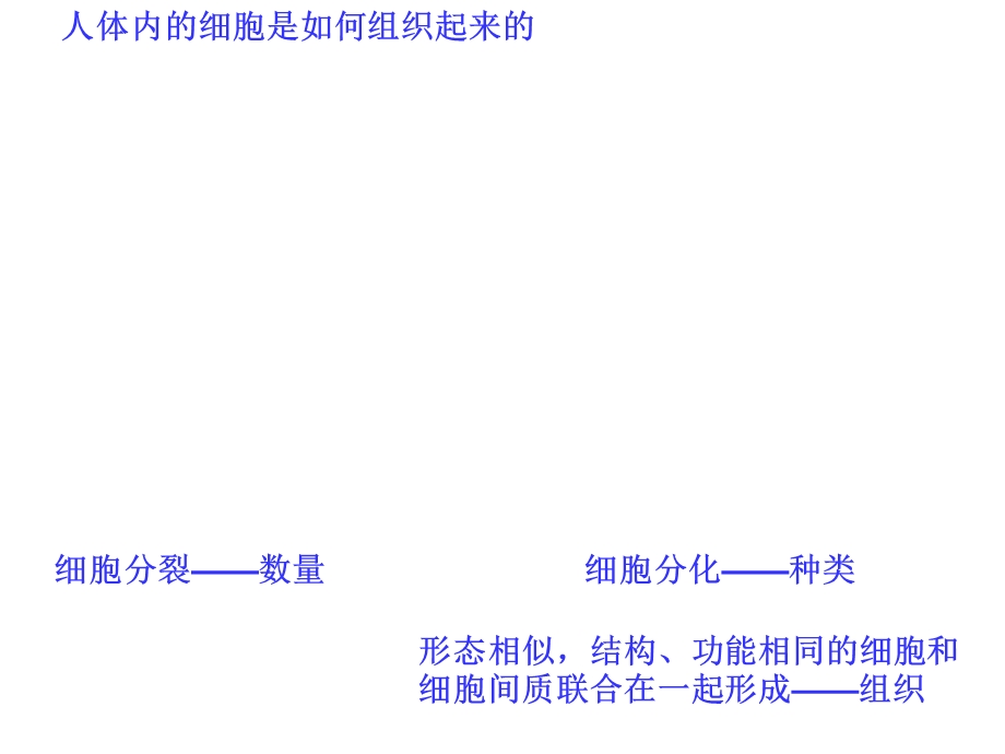 《人体生命活动》PPT课件.ppt_第2页