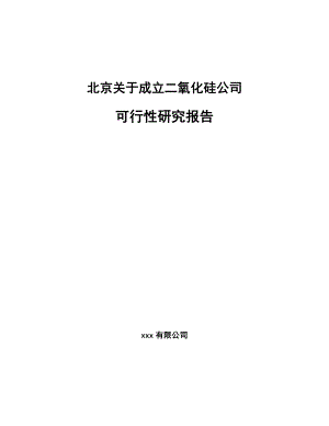 北京关于成立二氧化硅公司可行性研究报告.docx