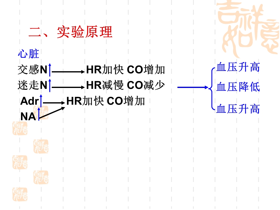 《心血管活动的调节》PPT课件.ppt_第3页