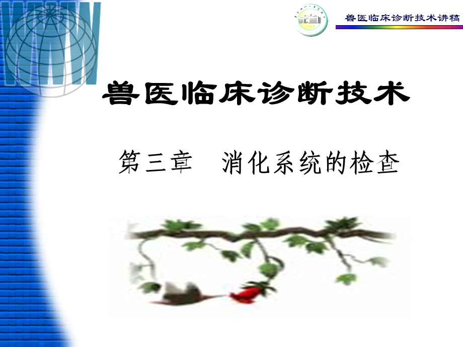 兽医临床诊断技术讲稿.ppt_第1页