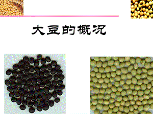 《大豆的概况》PPT课件.ppt