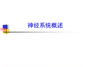 9第九章中枢神经系统.ppt