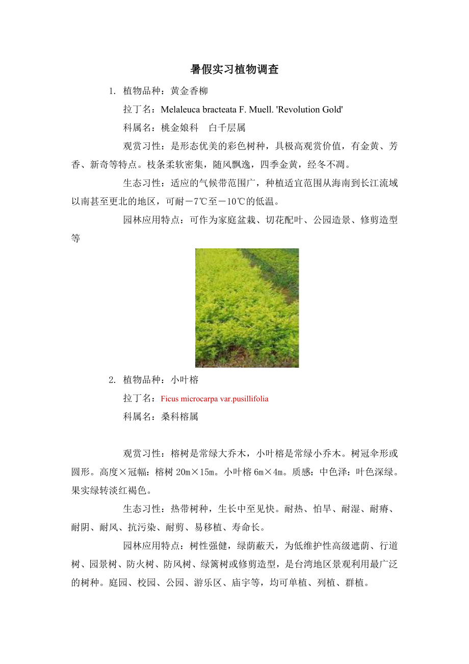 l园林专业学生实习但调研报告珠三角植物.doc_第3页