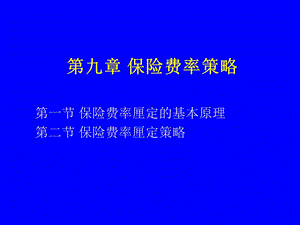 《保险费率策略》PPT课件.ppt