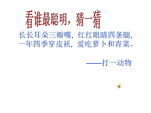 《小兔子过河》PPT课件.ppt