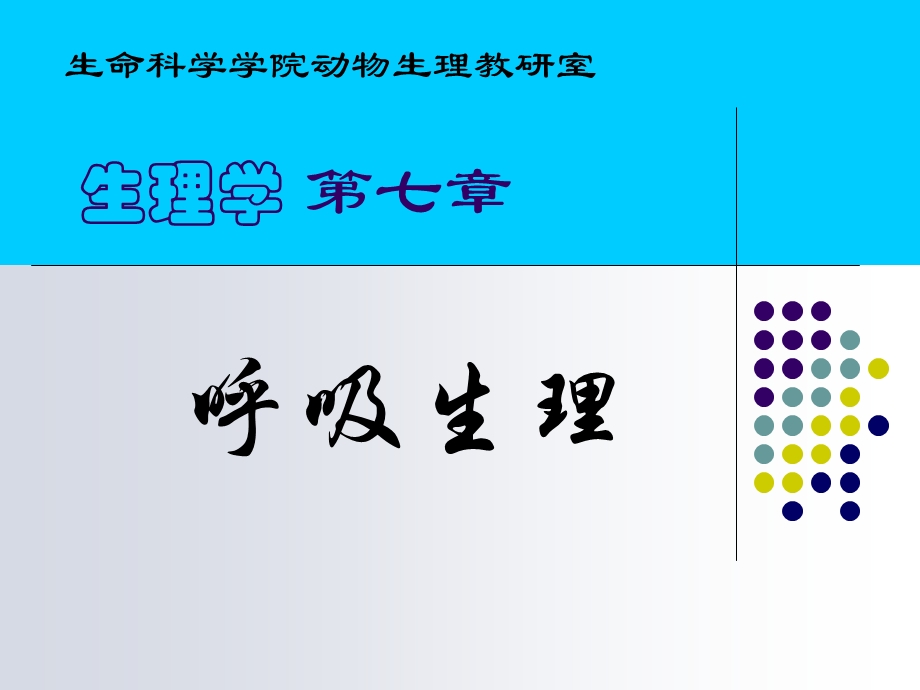 《呼吸生理缺》PPT课件.ppt_第1页