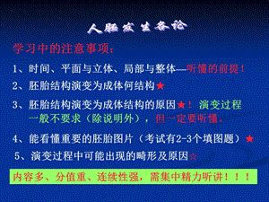 《心血管发生》PPT课件.ppt