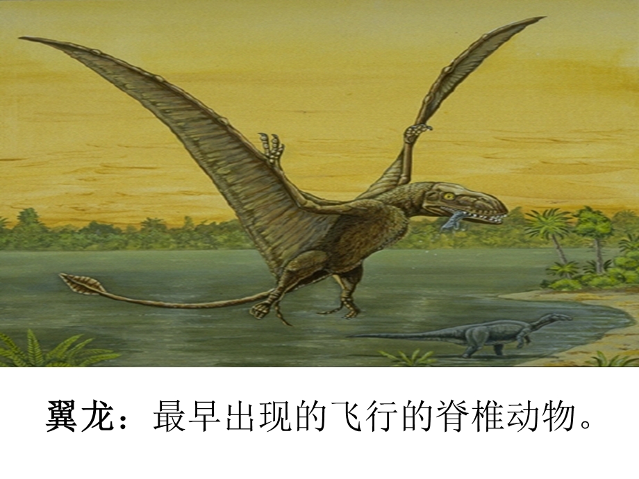 《恐龙的灭绝教学》PPT课件.ppt_第2页