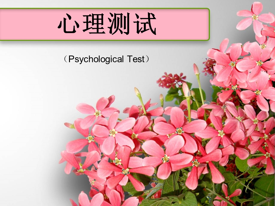 《心理测试》PPT课件.ppt_第1页