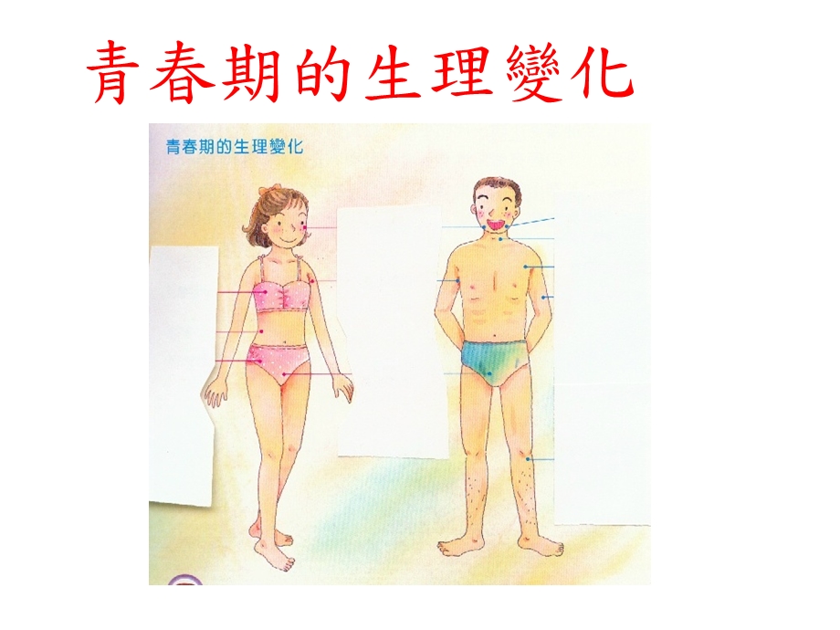 青期生理变化.ppt_第1页