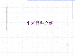 《小麦品种介绍》PPT课件.ppt