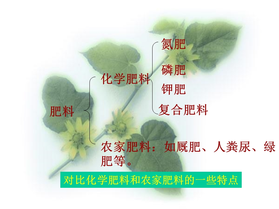 《化学肥料公开》PPT课件.ppt_第3页