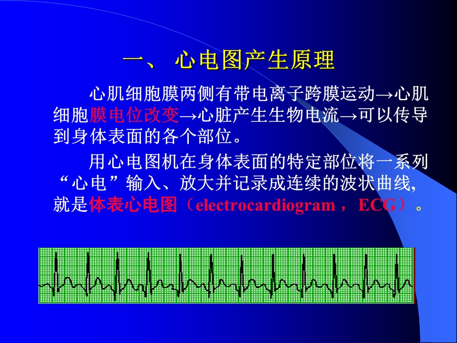 心电图讲义第五篇 辅助检查第一章 心电图检查.ppt_第3页