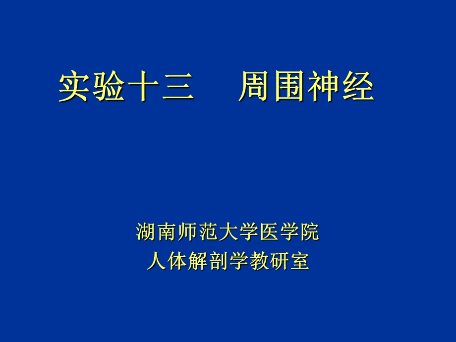 《周围神经实验》PPT课件.ppt_第1页