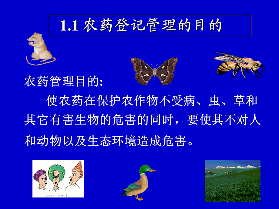 《农药登记管理》PPT课件.ppt_第3页