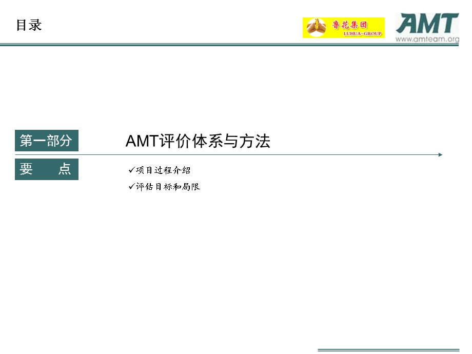 鲁花分销系统评估AMT公司.ppt_第3页