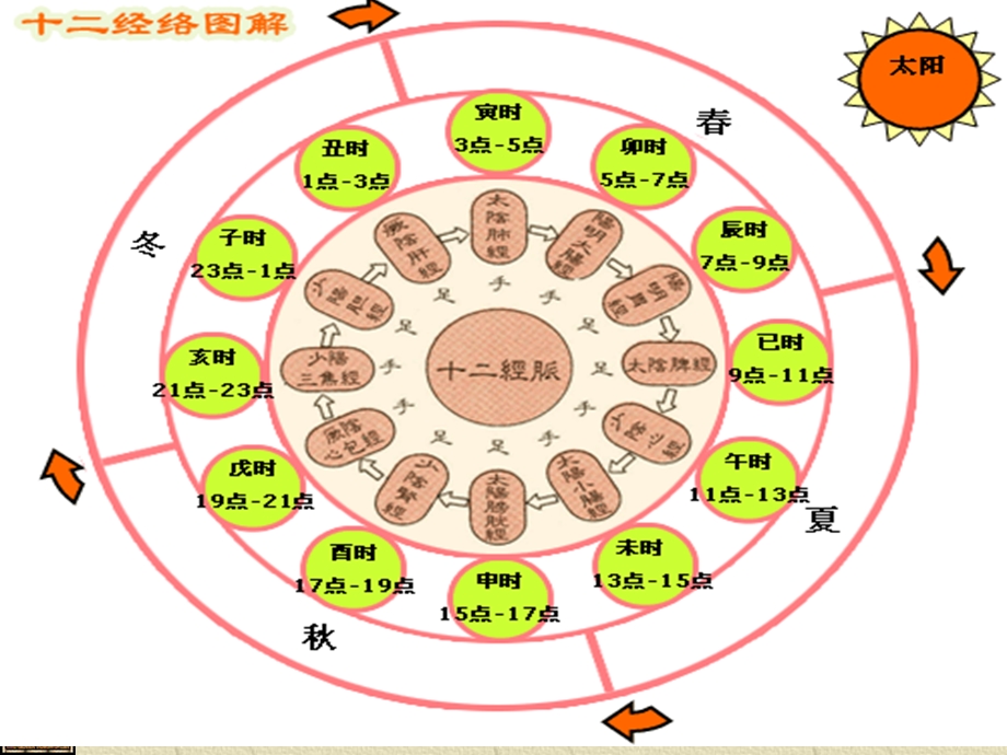 《中医养生五行》PPT课件.ppt_第3页