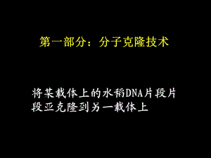 亚克隆ppt课件.ppt