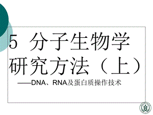 《分子生物学许晓东》PPT课件.ppt