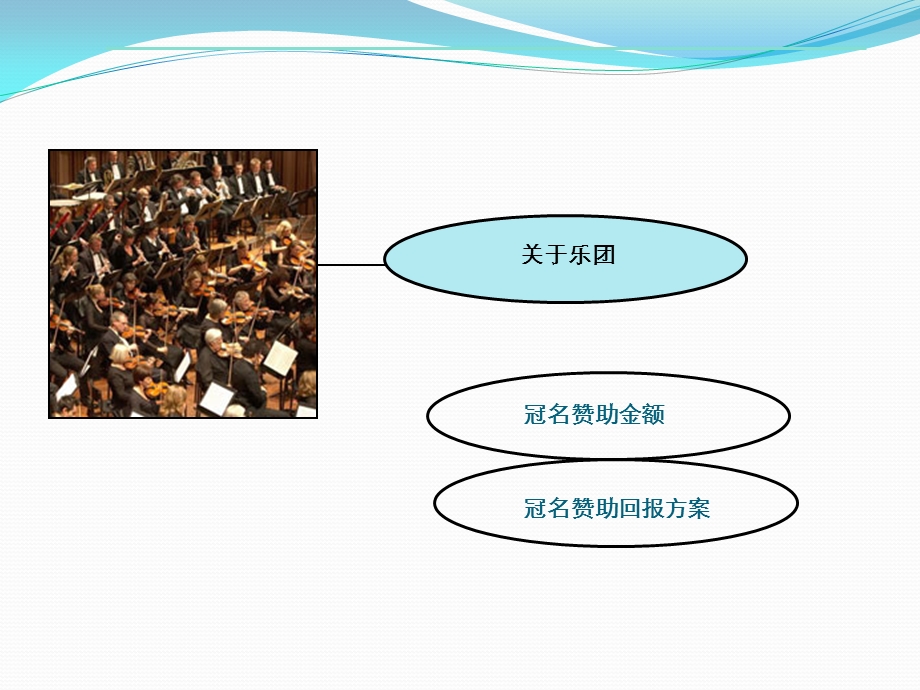 新年音乐会招商方案.ppt_第2页