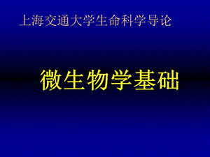 《微生物学基础》PPT课件.ppt