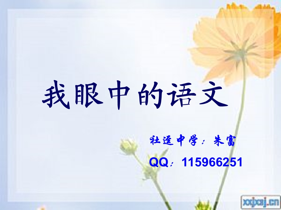 《我眼中的语文》PPT课件.ppt_第1页