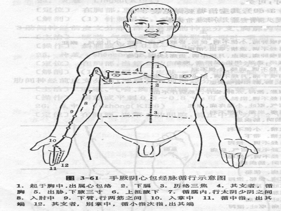 《手厥阴心包经》PPT课件.ppt_第2页