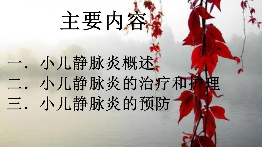 《小儿静脉炎防治》PPT课件.ppt_第2页