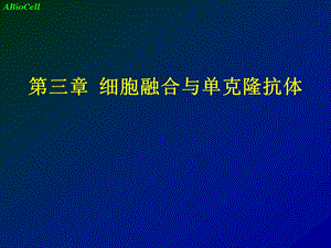 细胞融合与单克隆抗体1.ppt