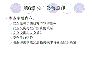 《安全经济原理》PPT课件.ppt