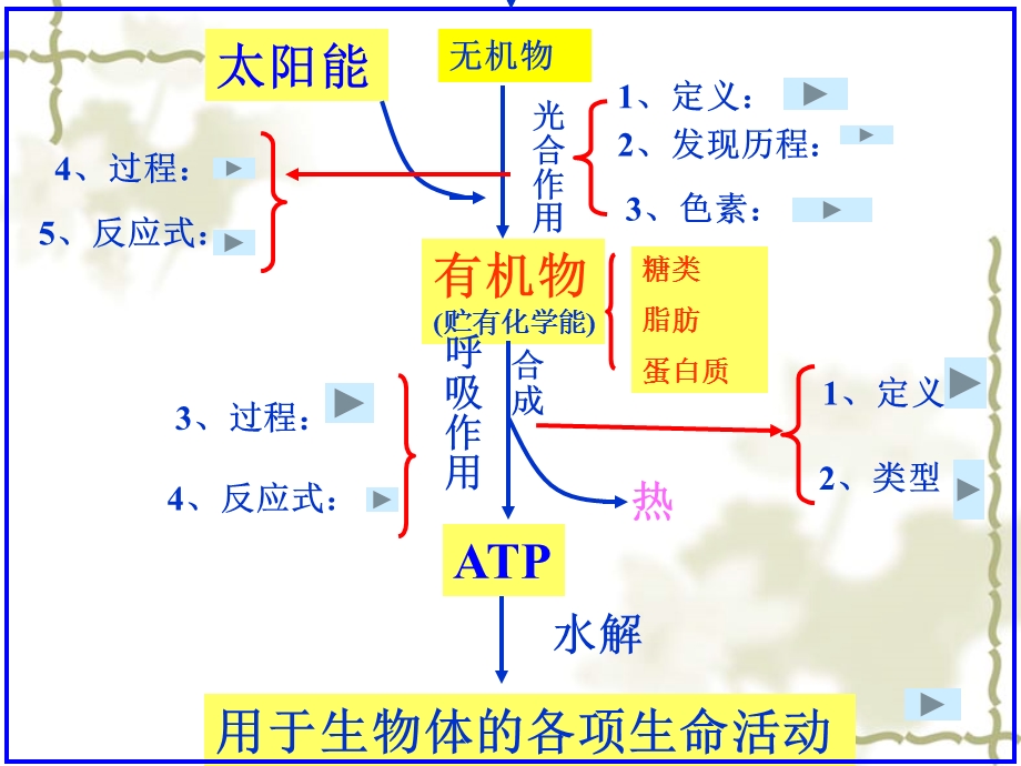 《光合与呼吸》PPT课件.ppt_第2页