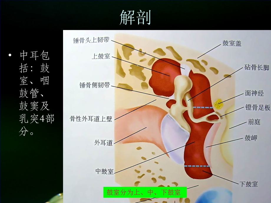 中耳炎的护理.ppt_第3页