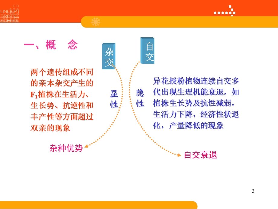 《优势杂交育种》PPT课件.ppt_第3页