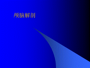 《大脑解剖图谱》PPT课件.ppt