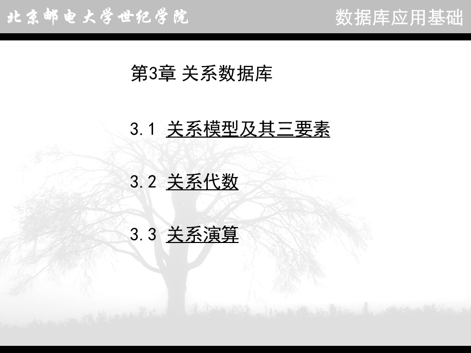 《关系数据库》PPT课件.ppt_第1页