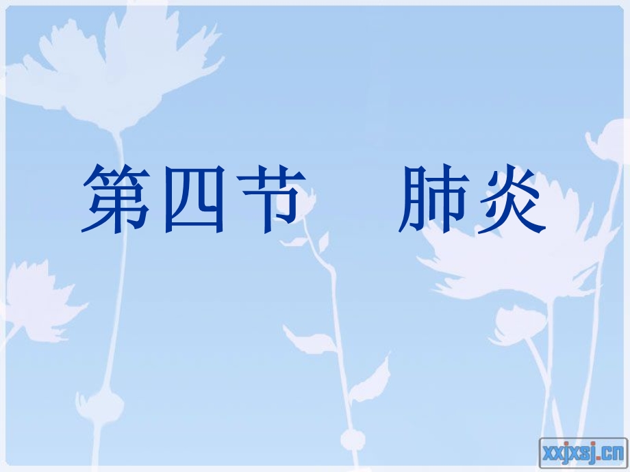 《大叶性肺炎终稿》PPT课件.ppt_第2页