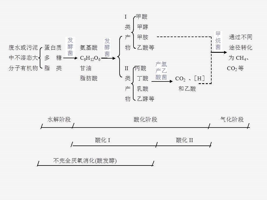 《厌氧发酵原理》PPT课件.ppt_第3页