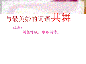 与最美妙的词语共舞2.ppt