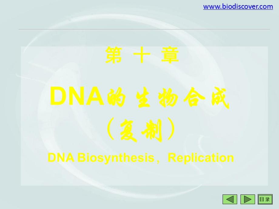 《基因信息的传递》PPT课件.ppt_第2页