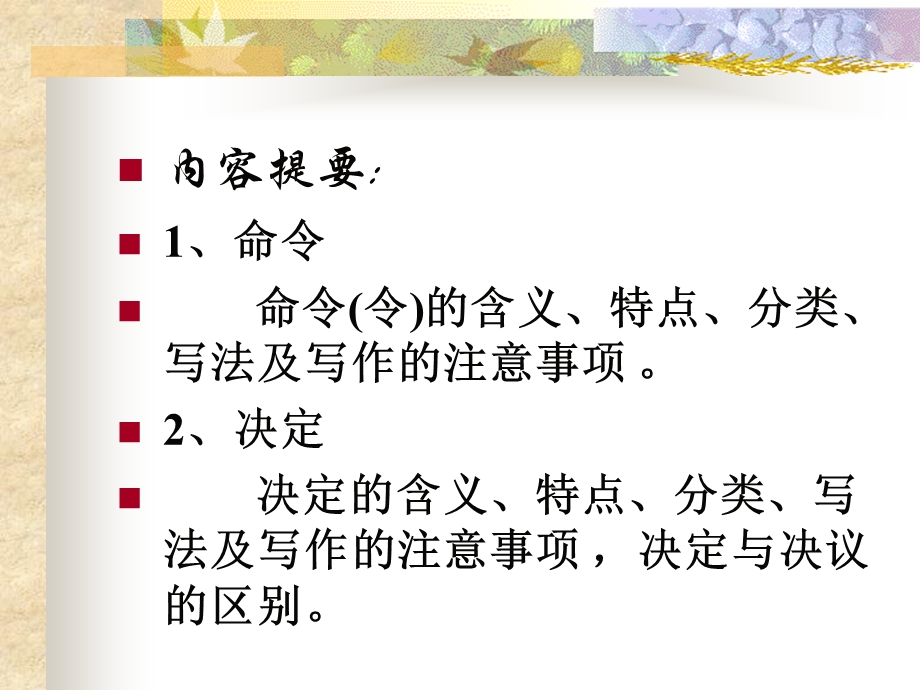 《命令和决定》PPT课件.ppt_第2页