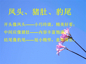 《初中作文指导》PPT课件.ppt