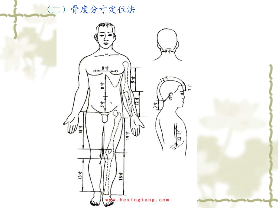 《常用穴位讲解》PPT课件.ppt_第3页